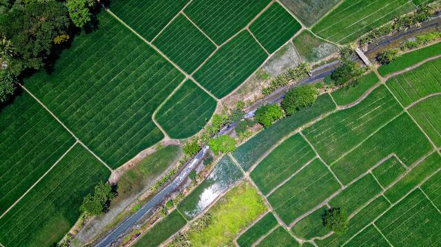 Vue aérienne de parcelles agricoles