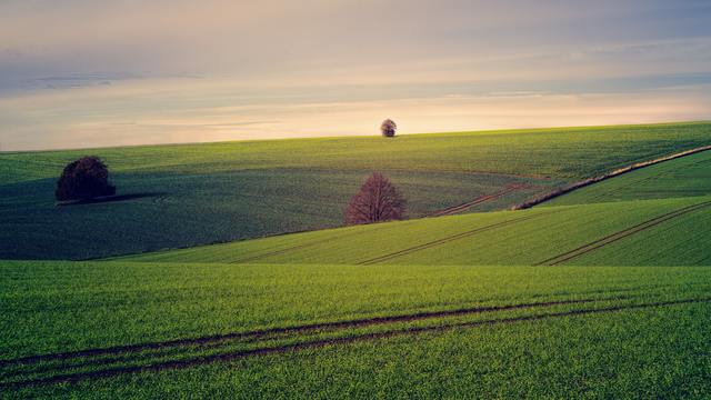 Terrain agricole français