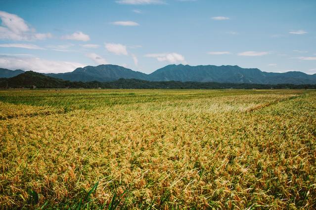Champ cultivé illustrant les partenariats agricoles de Cultivons Malin