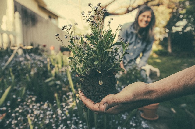 Champ cultivé dans le Nord, symbolisant la genèse de Cultivons Malin