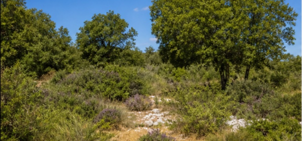 Terrain de garrigue méditerranéenne Cévennes à Ales — photo 1