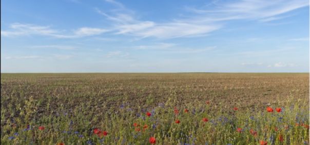Terre agricole en jachère plaine de Beauce à Chartres — photo 1