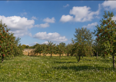 Terrain à louer à Dijon — photo 1