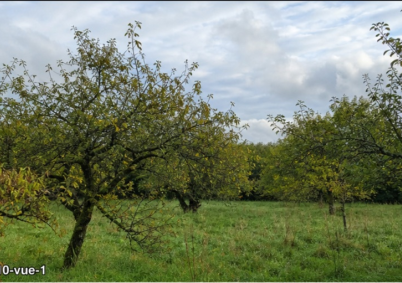 Terrain à louer à Tours — photo 1