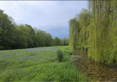 Terrain à louer à Limoges — photo 1