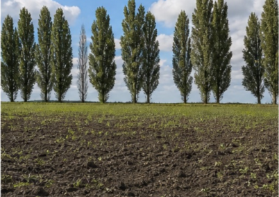 Terrain à louer à Saint-Omer — photo 4