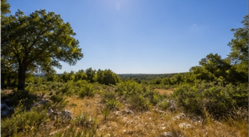Terrain de garrigue mediterraneenne Cevennes à Ales — photo 5