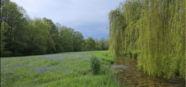 Parcelle bord de ruisseau Limousin à Limoges — photo 1
