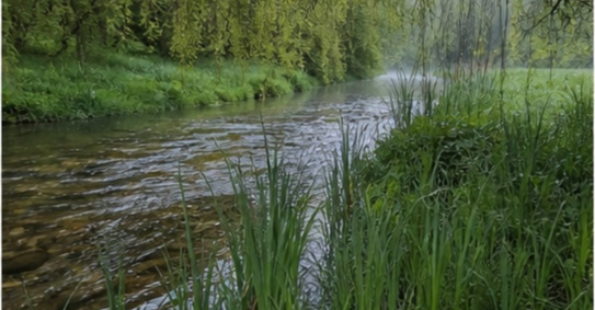 Parcelle bord de ruisseau Limousin à Limoges — photo 4