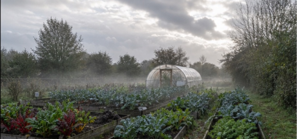 Potager avec serre tunnel Bretagne à Brest — photo 1