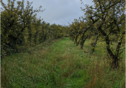 Terrain à louer à Tours — photo 4