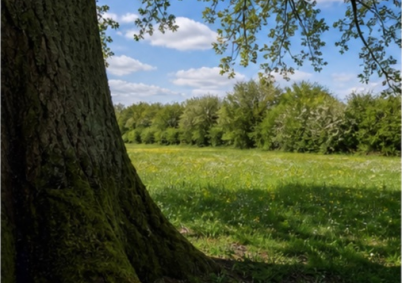 Terrain à louer à Angouleme — photo 4
