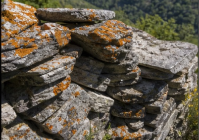 Terrain à louer à Lourdes — photo 3