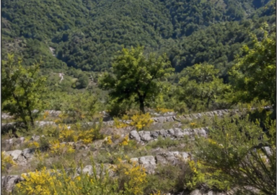 Terrain à louer à Lourdes — photo 4