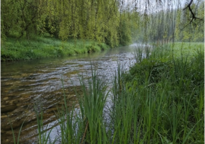 Terrain à louer à Limoges — photo 4