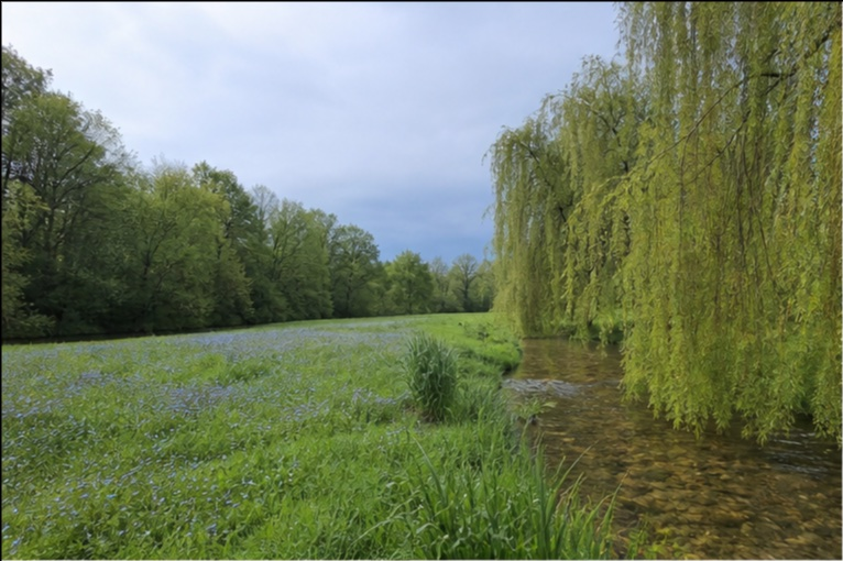 Photo principale du terrain Parcelle bord de ruisseau Limousin